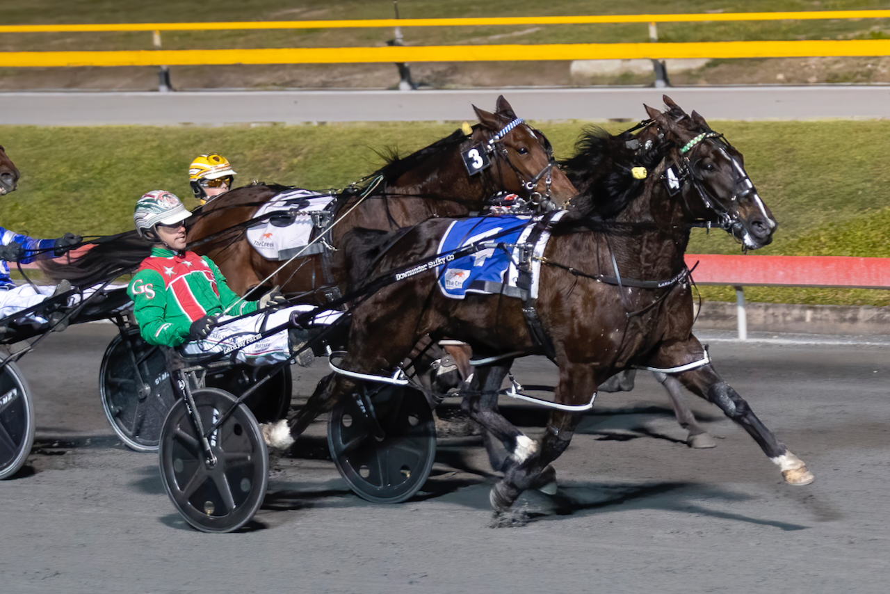 New Zealand's big meetings to be shown on TrotsVision Harness Racing